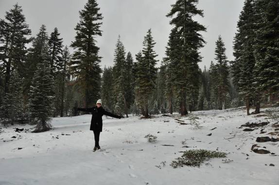 Caminhando pela floresta nevada do Mount Shasta, na Califórnia, nos Estados Unidos